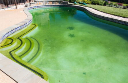 Anti Algues Double action Algicide clarifiant sans mousse et sans métaux anti algues verte puissant concentré ma piscine est verte et l'anti algue ne fonctionne pas à Manosque 04