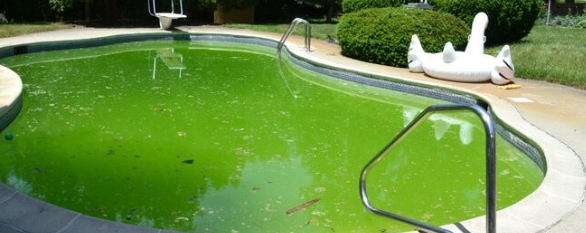 Anti Algues Double action Algicide clarifiant sans mousse et sans métaux anti algues verte puissant concentré ma piscine est verte et l'anti algue ne fonctionne pas à Manosque 04